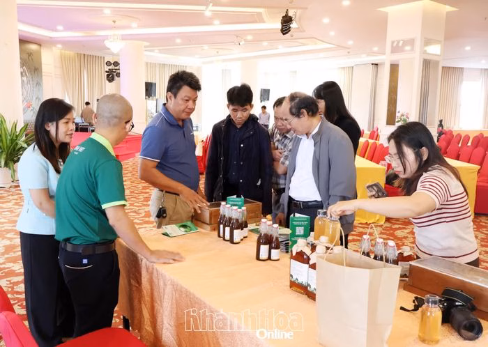 Các đại biểu tìm hiểu những ý tưởng đột phá tại chung kết Cuộc thi Khởi nghiệp đổi mới sáng tạo Khánh Hòa năm 2025, tiền đề cho những bước tiến năm 2026.