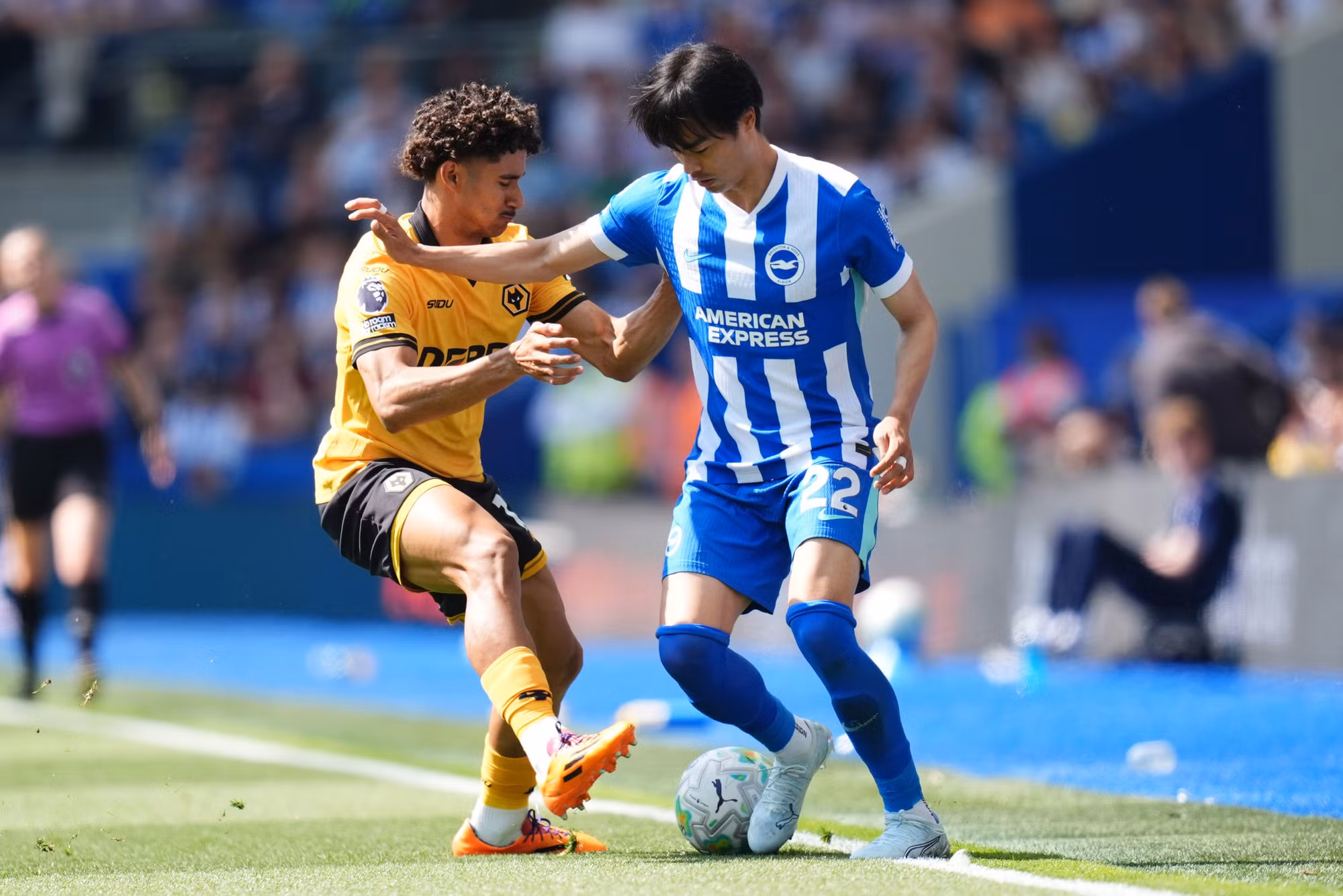 Kaoru Mitoma trong trận gặp Wolves, thời điểm xảy ra chấn thương khiến HLV Moriyasu lo lắng.
